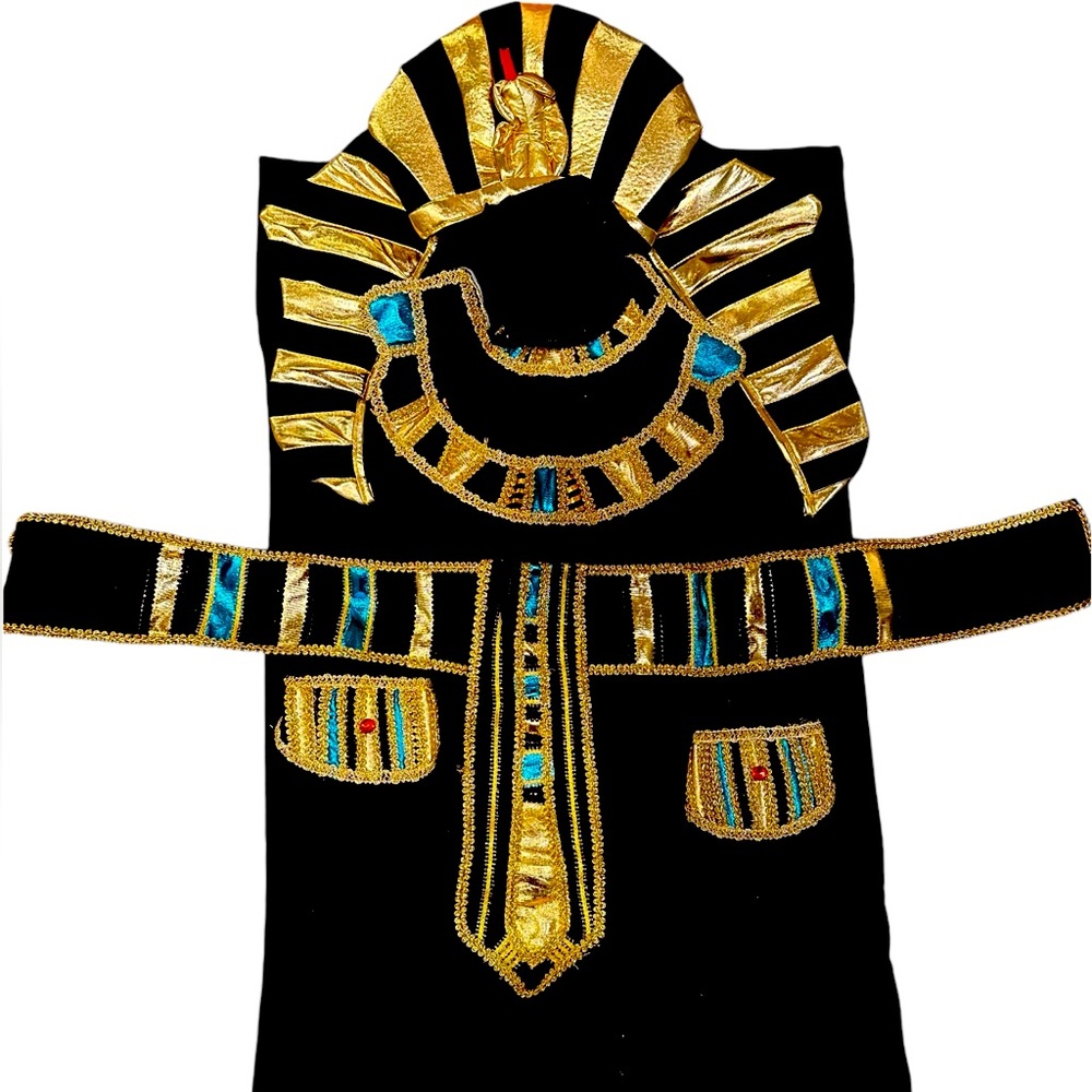 Strut your Tut! NEVER WORN—Still in original packaging.